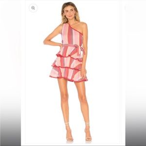 Beautiful colorful Tularosa pink ruffle party dress